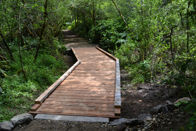 Boardwalk on Bird Meadow trail Boardwalk on Bird Meadow trail