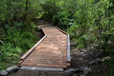 Boardwalk on Bird Meadow trail